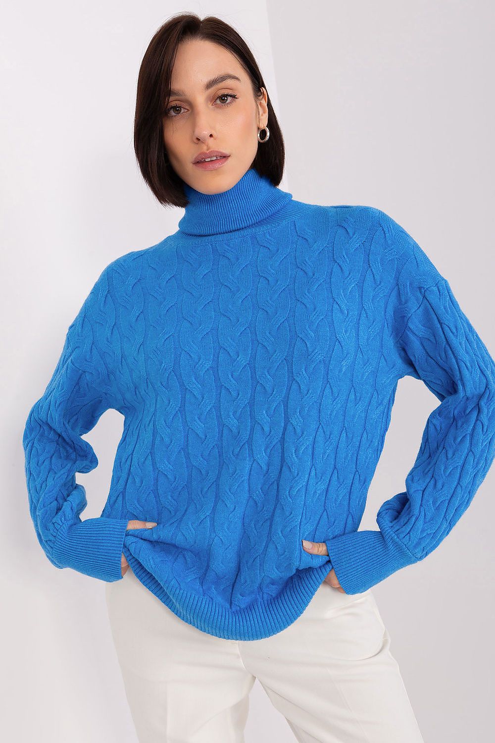 Turtleneck model 188299 AT 