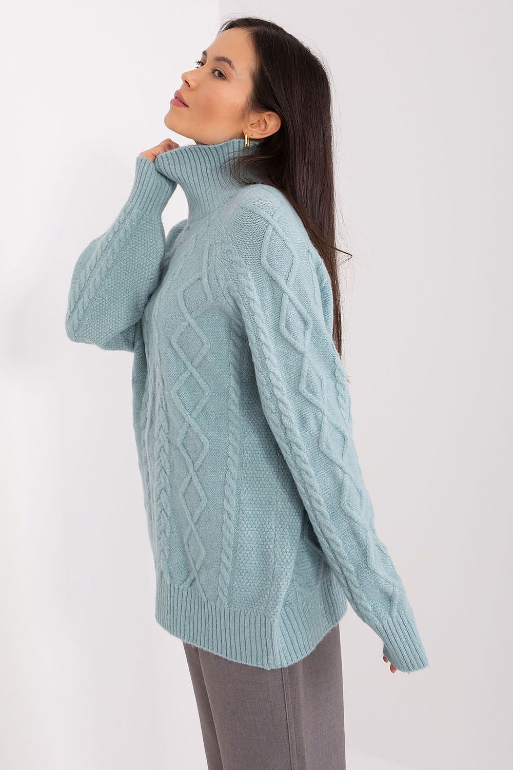  Turtleneck model 189222 AT 